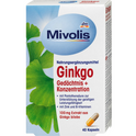 Ginkgo Memory + Concentration Capsules, 40 pcs, 20 g